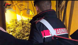 carabinieri-cannabis-droga