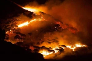 incendio sicilia