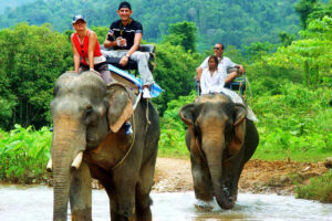 Khao-Sok-escursione-elefante-thailandia