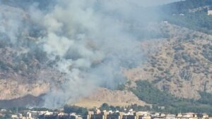 monte-pellegrino-incendio