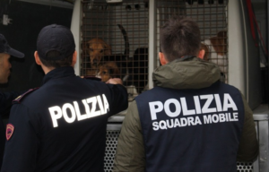 cani-niscemi-polizia