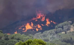 incendio-piazza-armerina-sicilia-4