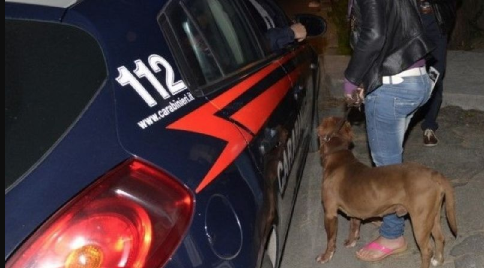 pitbull carabinieri aggressione