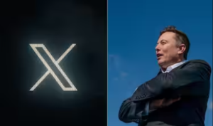 x-porno-musk